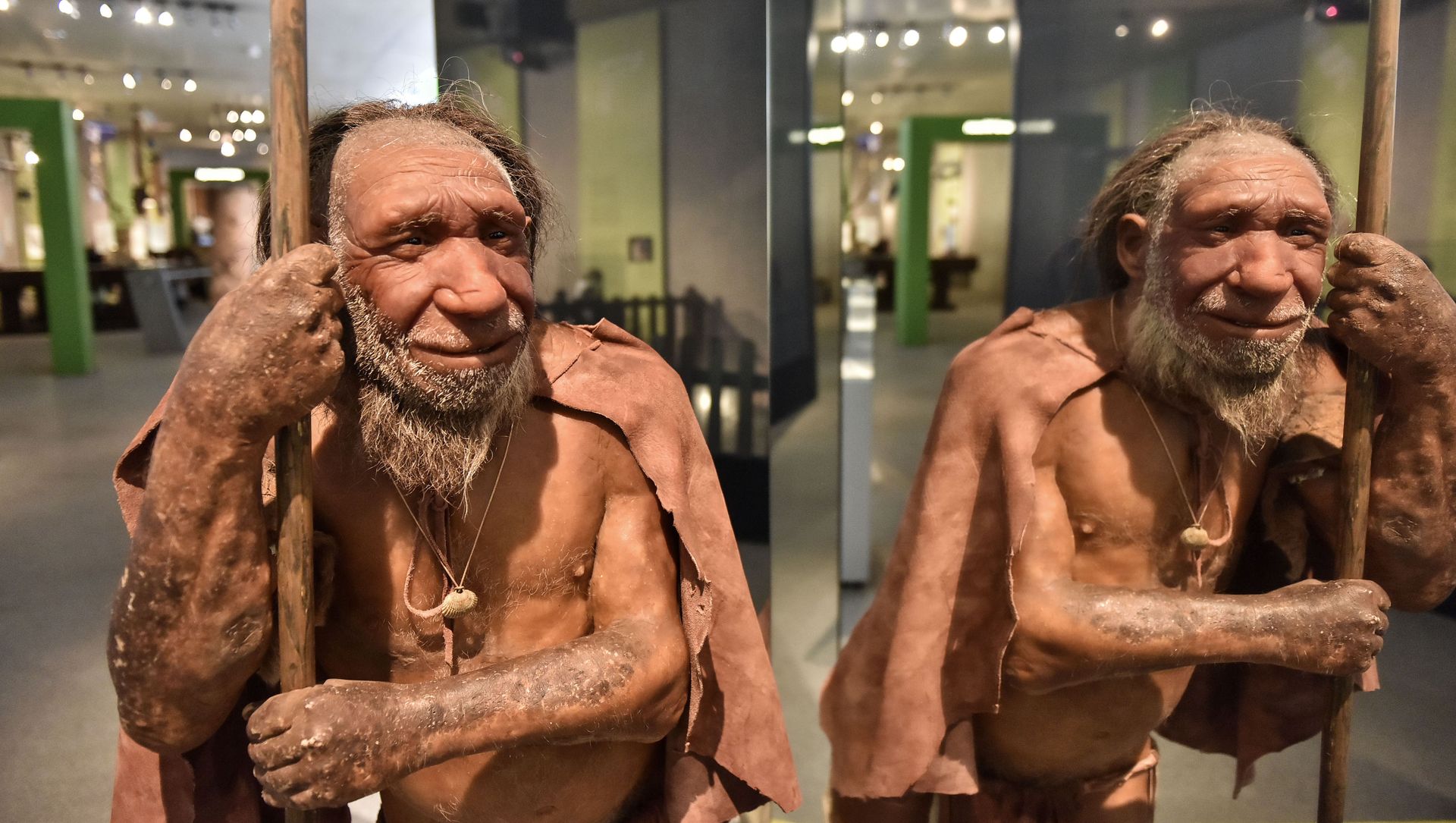 Neanderthal Neanderthal - Sputnik Brasil, 1920, 02.02.2021