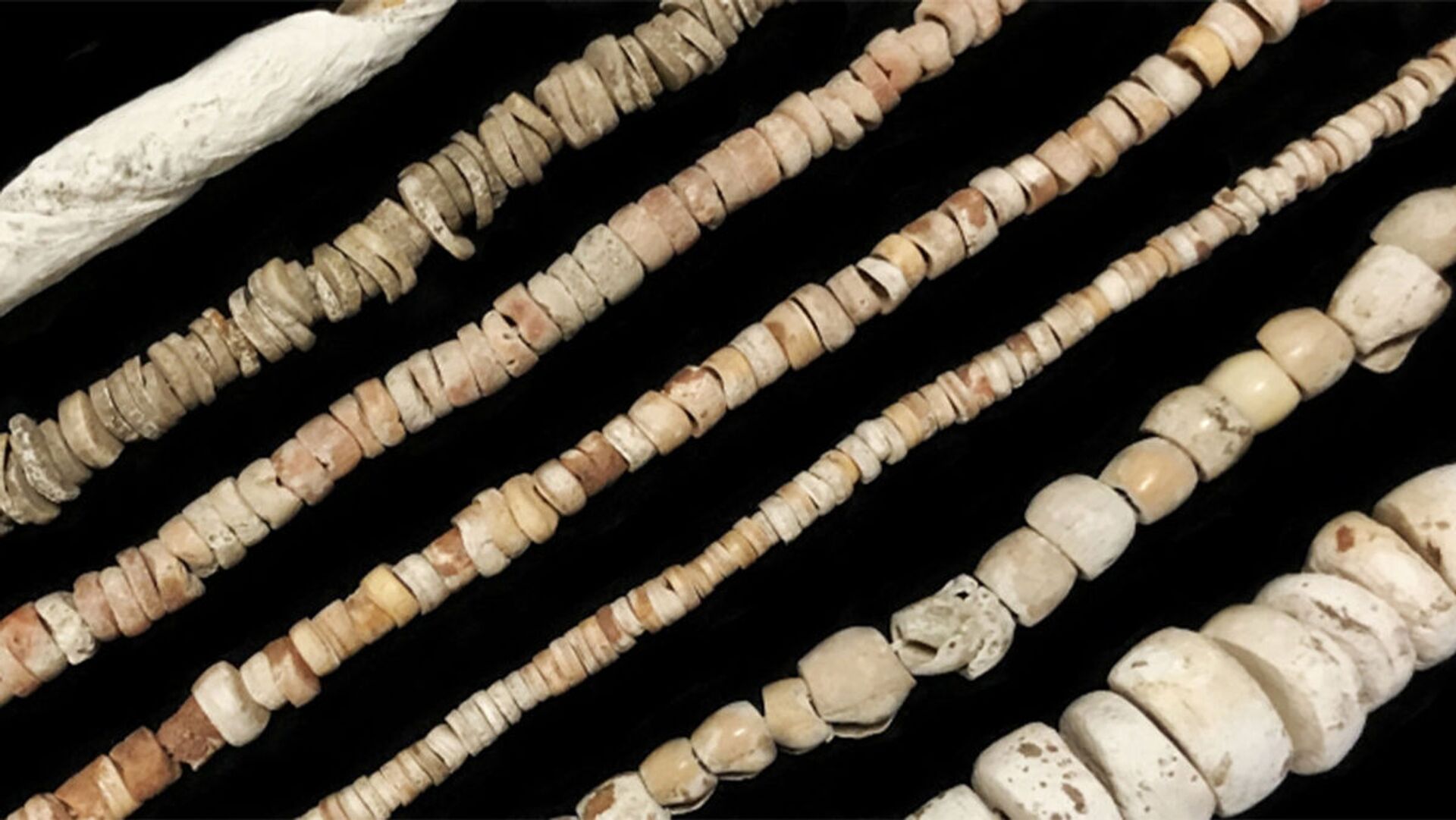 Arqueólogos podem ter descoberto a primeira moeda dos povos nativos da América do Norte (FOTO) - Sputnik Brasil, 1920, 03.02.2021
