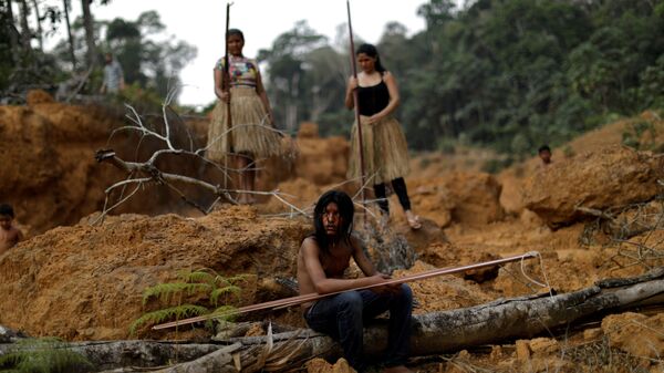 Indígenas da etnia Mura mostram área desmatada próximo ao município de Humaitá, no Amazonas - Sputnik Brasil