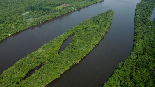 Vista do Parque Nacional do Jaú durante sobrevoo, em Barcelos, no estado do Amazonas (arquivo) - Sputnik Brasil