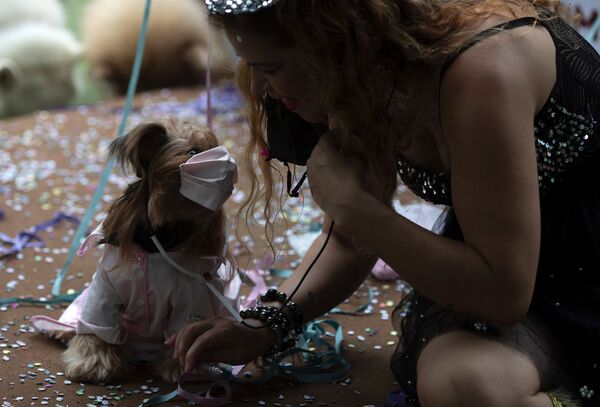 Cachorrinha Eva fantasiada de médica e sua dona em palco coberto de confetes durante o desfile de cachorros anual do Carnaval no Rio de Janeiro, Brasil, 13 de fevereiro de 2021 - Sputnik Brasil