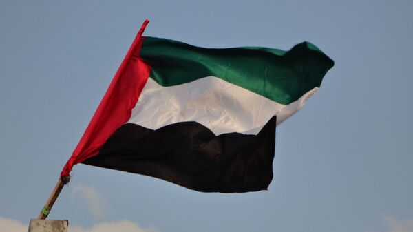 Bandeira dos Emirados Árabes Unidos (imagem referencial) - Sputnik Brasil