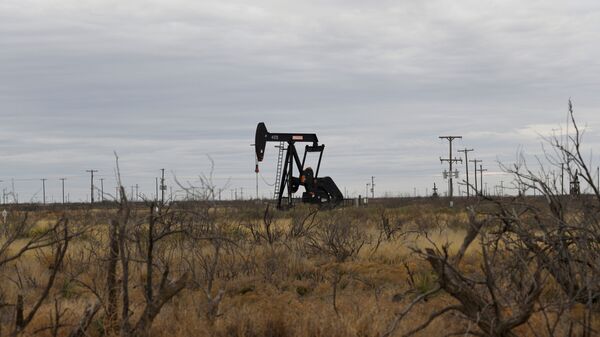 FILE PHOTO: A pump jack operates in the Permian Basin oil and natural gas production area near Odessa, Texas, U.S., February 10, 2019. Picture taken February 10, 2019.  - Sputnik Brasil