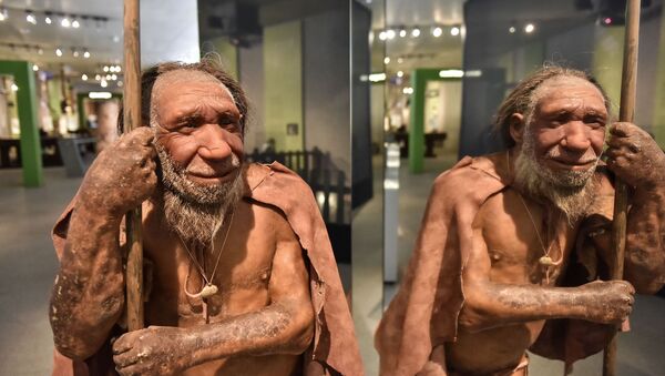 Reconstrução de neandertal que habitou Eurásia em um período entre 400 mil e 40 mil anos, exibida no Museu Neandertal em Mettmann, Alemanha - Sputnik Brasil