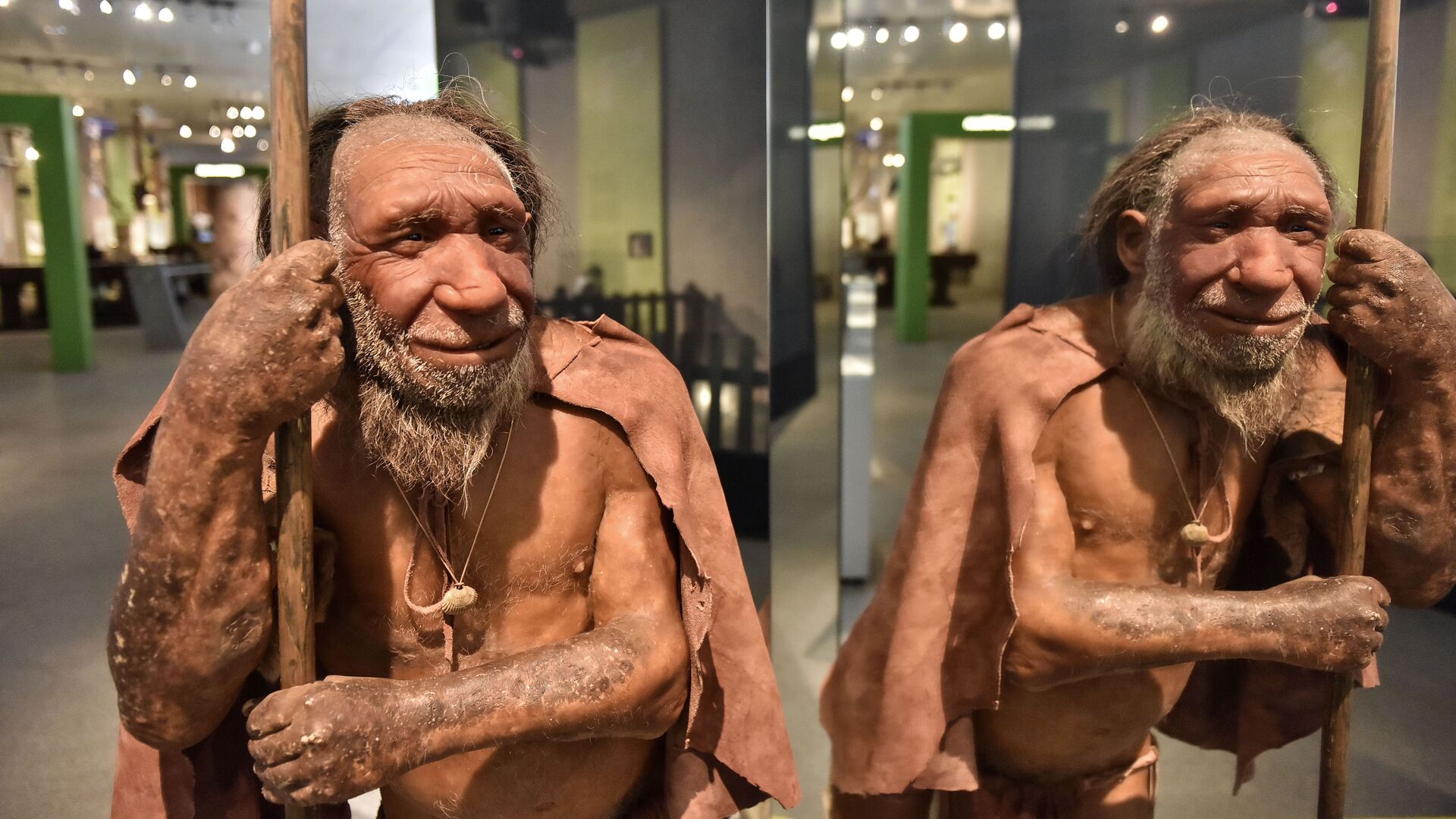Reconstrução de neandertal que habitou Eurásia em um período entre 400 mil e 40 mil anos, exibida no Museu Neandertal em Mettmann, Alemanha Reconstrução de neandertal que habitou Eurásia em um período entre 400 mil e 40 mil anos, exibida no Museu Neandertal em Mettmann, Alemanha - Sputnik Brasil, 1920, 07.07.2025
