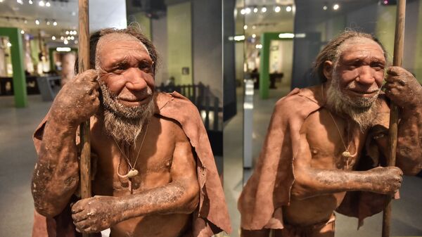 Reconstrução de neandertal que habitou Eurásia em um período entre 400 mil e 40 mil anos, exibida no Museu Neandertal em Mettmann, Alemanha - Sputnik Brasil