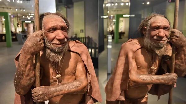 Reconstrução de neandertal que habitou Eurásia em um período entre 400 mil e 40 mil anos, exibida no Museu Neandertal em Mettmann, Alemanha - Sputnik Brasil