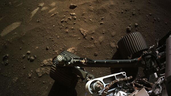 Imagem tirada da câmera de navegação do rover Perseverance em Marte, 24 de fevereiro de 2021 - Sputnik Brasil