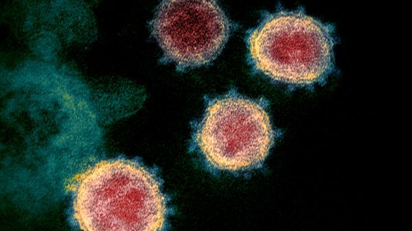 Imagem de microscópio eletrônico de transmissão do SARS-CoV-2, também conhecido como novo coronavírus, o vírus que causa a doença COVID-19, isolado de um paciente nos EUA, sem data - Sputnik Brasil