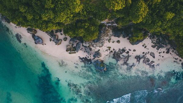 Ilha tropical (imagem referencial) - Sputnik Brasil