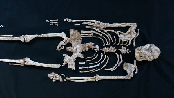 Esqueleto de Little Foot, na África do Sul - Sputnik Brasil