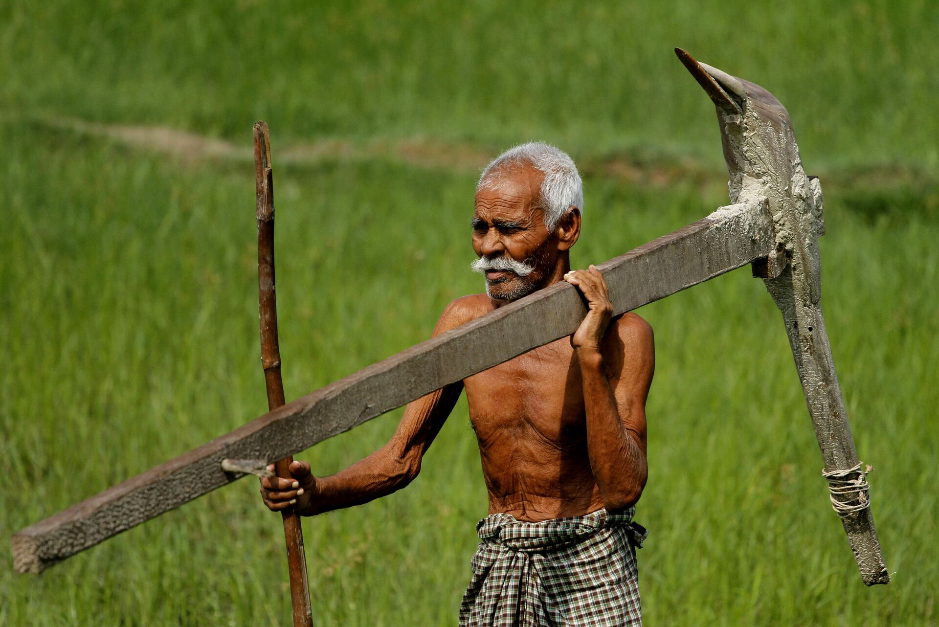 'Lutaremos até o último suspiro': por que os protestos de fazendeiros na Índia são tão resilientes? - Sputnik Brasil, 1920, 04.03.2021
