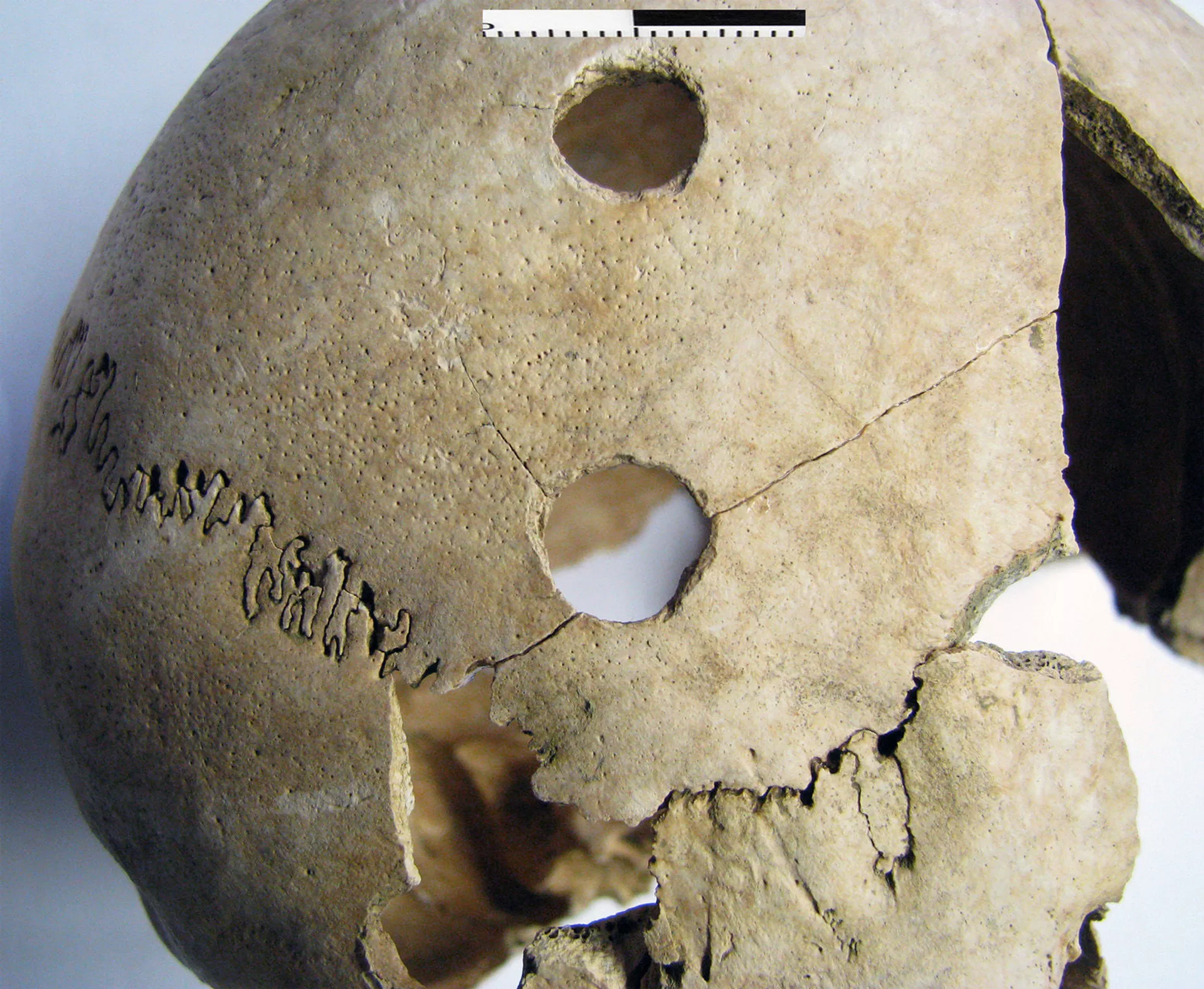 Enterro coletivo de 6.200 anos revela vestígios de massacre sem explicação (FOTOS) Enterro coletivo de 6.200 anos revela vestígios de massacre sem explicação (FOTOS) - Sputnik Brasil, 1920, 12.03.2021