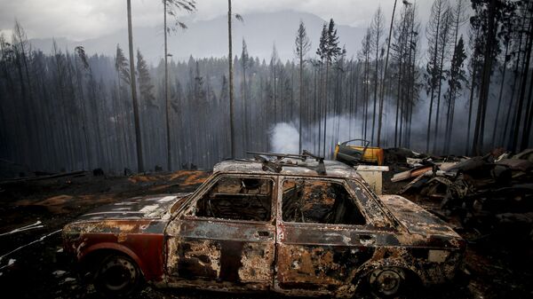 Veículo queimado em incêndio florestal em Las Golondrinas, Argentina - Sputnik Brasil