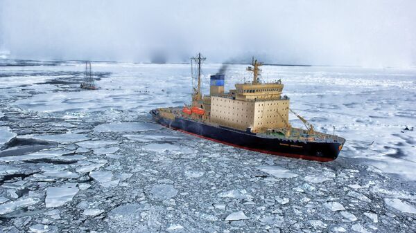 Ártico (imagem referencial) - Sputnik Brasil