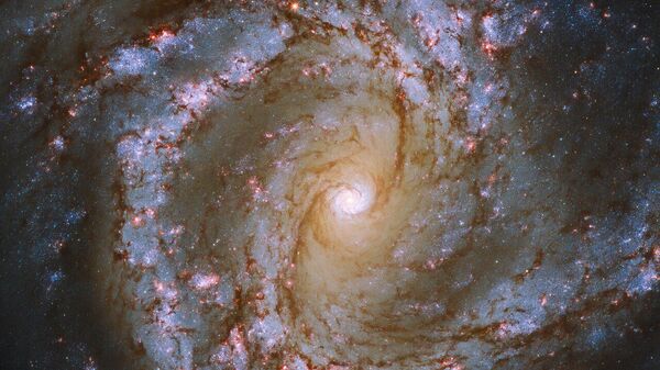 Galáxia espiral barrada Messier 61 - Sputnik Brasil