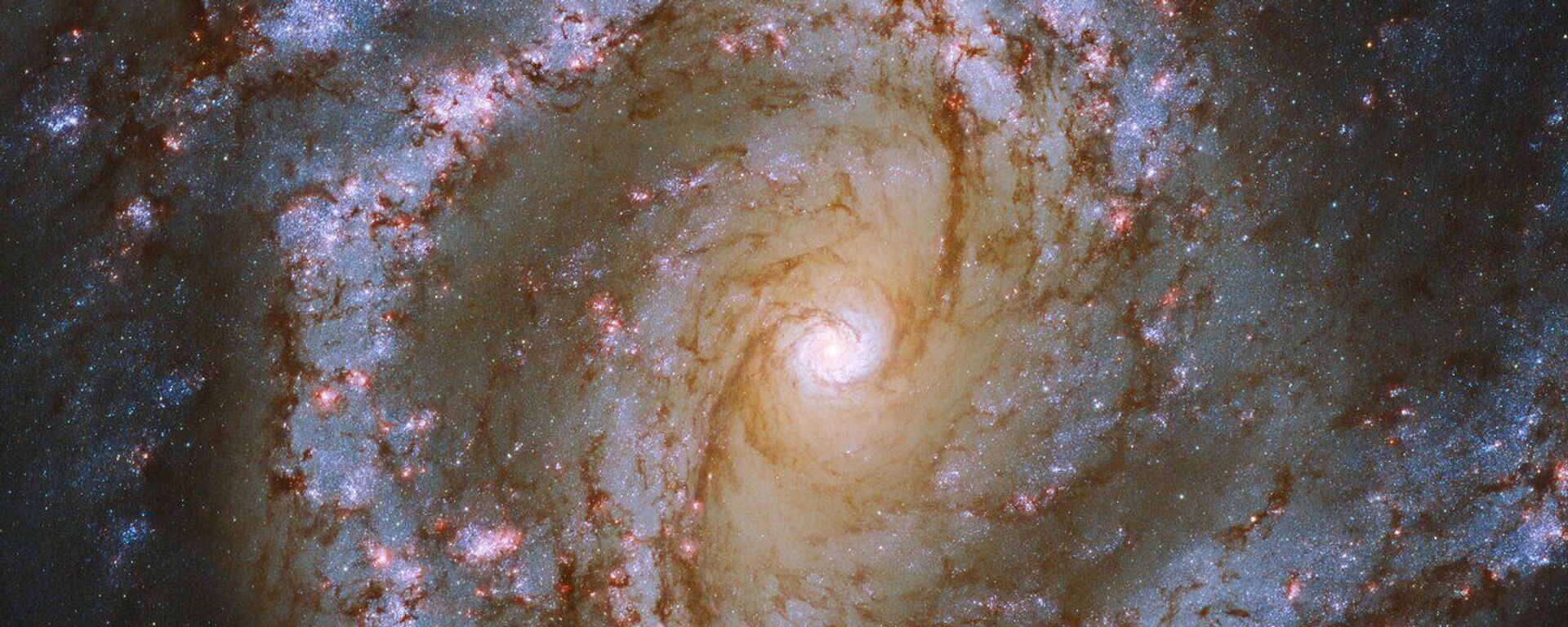 Galáxia espiral barrada Messier 61 - Sputnik Brasil, 1920, 23.04.2025