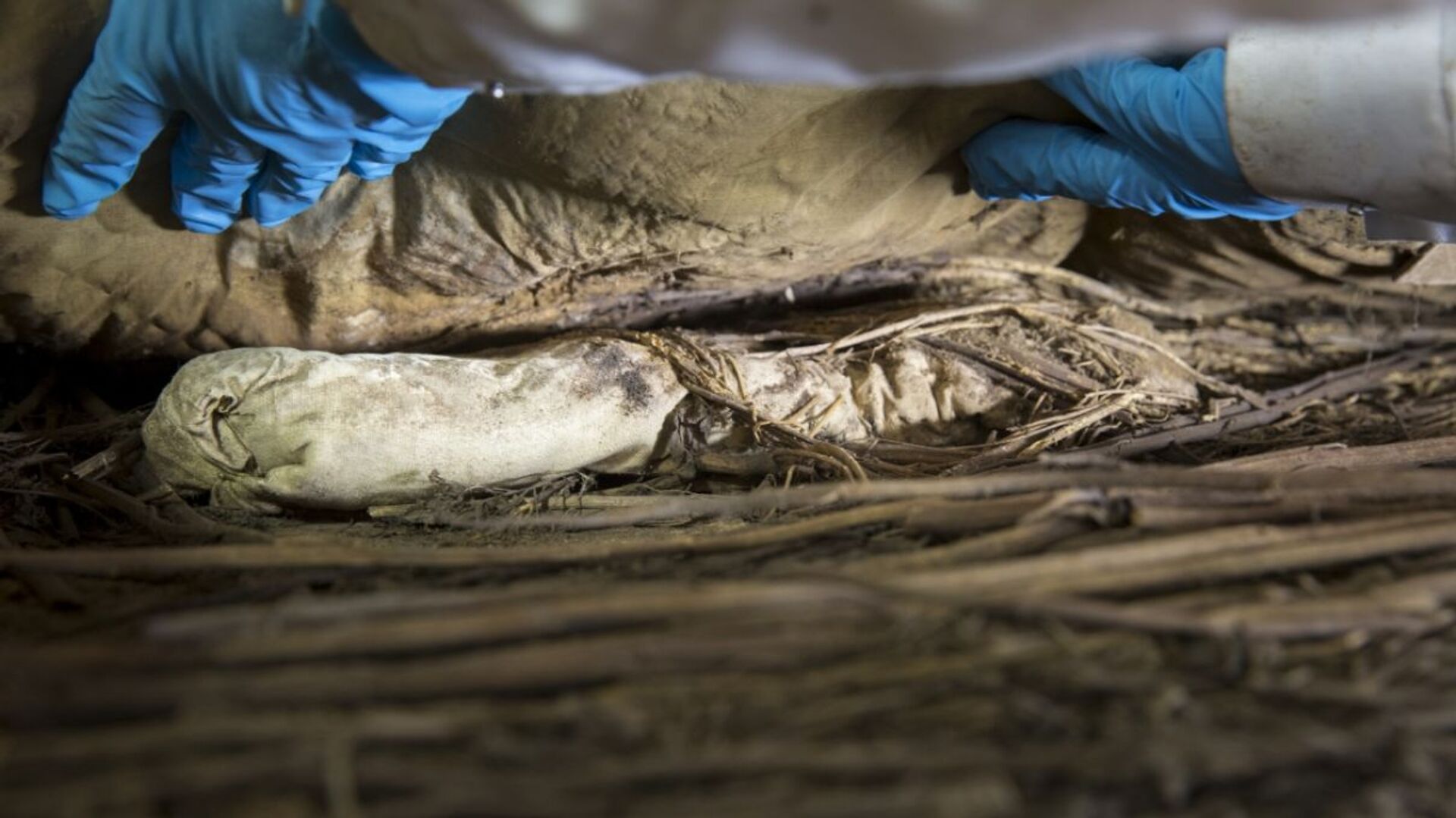 Levou para cova? DNA revela parentesco entre bispo sueco do século XVII e feto em seu caixão (FOTOS) - Sputnik Brasil, 1920, 08.04.2021