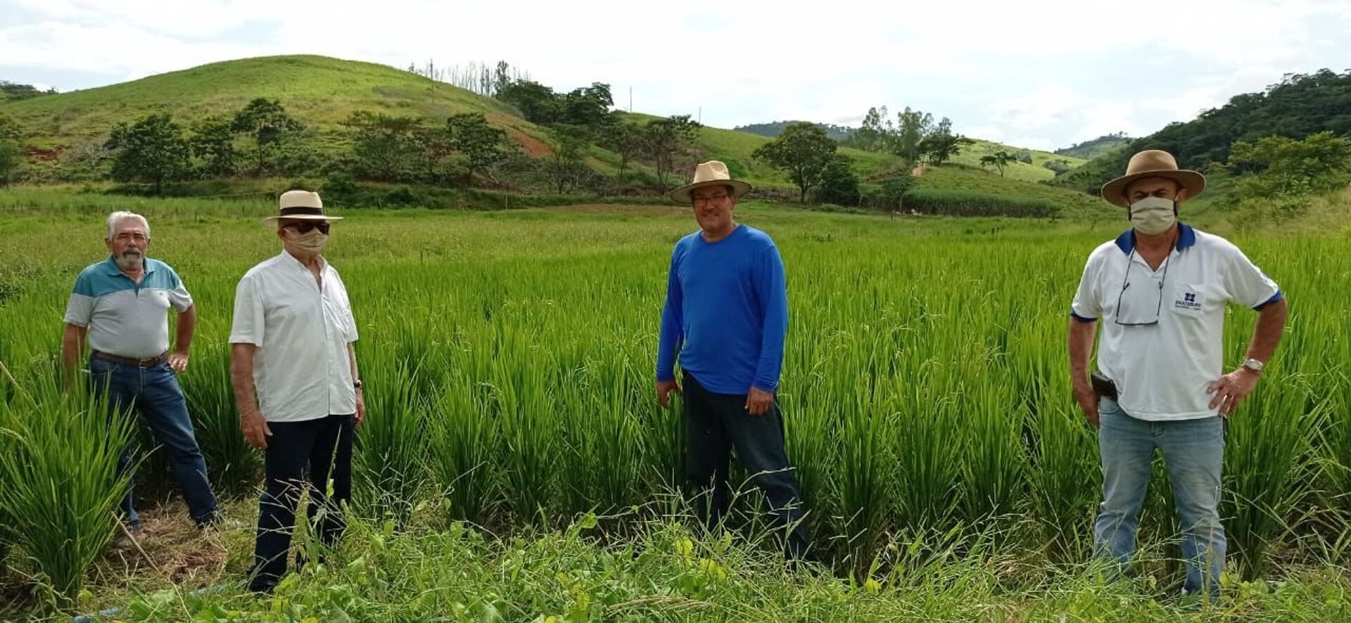 Agricultura familiar em cada uma das 5 regiões do Brasil: confira histórias de sucesso e desafios - Sputnik Brasil, 1920, 13.04.2021