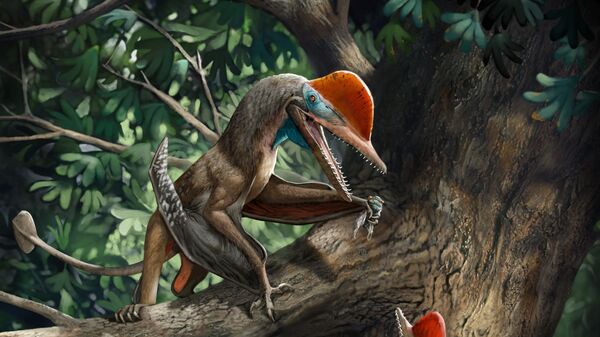 Representação artística do pterossauro Kunpengopterus antipollicatus - Sputnik Brasil