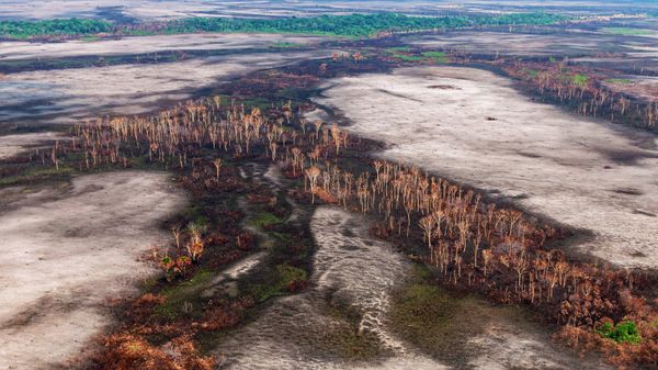 Desmatamento na Floresta Amazônica, em 29 de agosto de 2019 (imagem referencial) - Sputnik Brasil