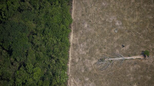 Área desmatada na Amazônia. - Sputnik Brasil