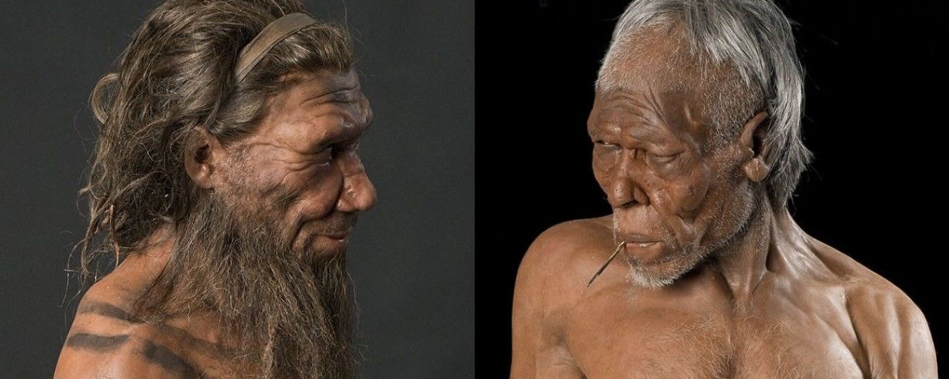 Reconstrução de neandertal e Homo sapiens pelos irmãos Kennis no Museu de História Natural de Londres - Sputnik Brasil, 1920, 22.04.2021