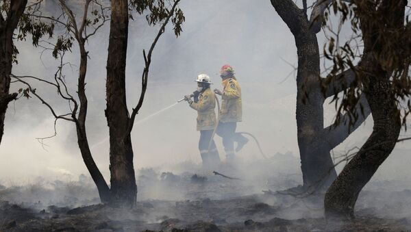 Bombeiros controlam um incêndio perto de Bredbo, ao sul da capital australiana, Canberra, no dia 2 de fevereiro de 2020 - Sputnik Brasil