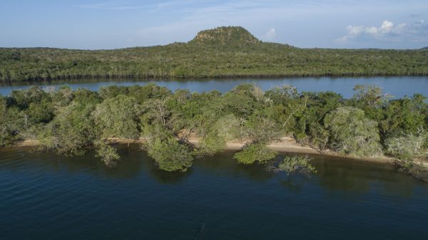 A Floresta Amazônica em Alter do Chão, no Pará, em foto de 27 de agosto de 2020 - Sputnik Brasil