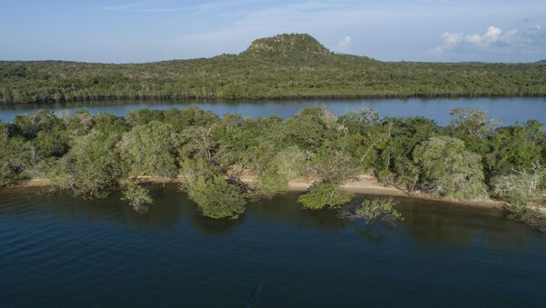 A Floresta Amazônica em Alter do Chão, no Pará, em foto de 27 de agosto de 2020 - Sputnik Brasil