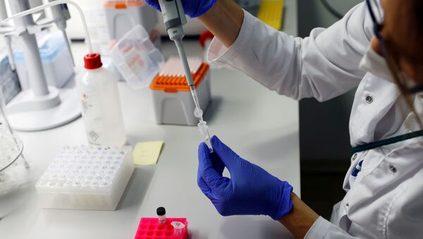 Técnico de laboratório trabalha com amostras de testes PCR rápidos no laboratório Confidence, em meio à pandemia da COVID-19, em Viena, Áustria, 30 de outubro de 2020 - Sputnik Brasil