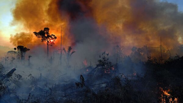 Incêndio ilegal é fotografado em reserva da Floresta Amazônica, ao sul da cidade de Novo Progresso, no estado do Pará, no Brasil, em 15 de agosto de 2020 - Sputnik Brasil