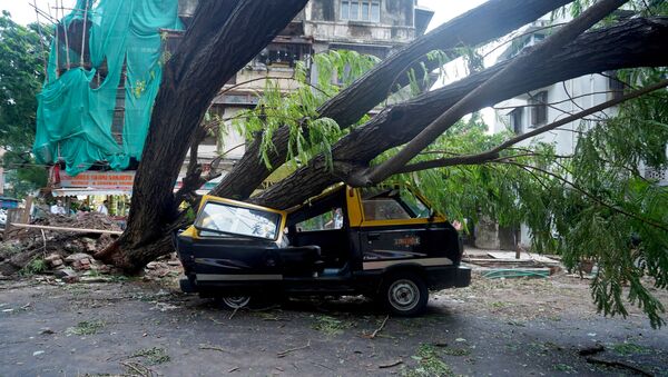 Veículo danificado debaixo de uma árvore caída, Mumbai, Índia, 18 de maio de 2021 - Sputnik Brasil