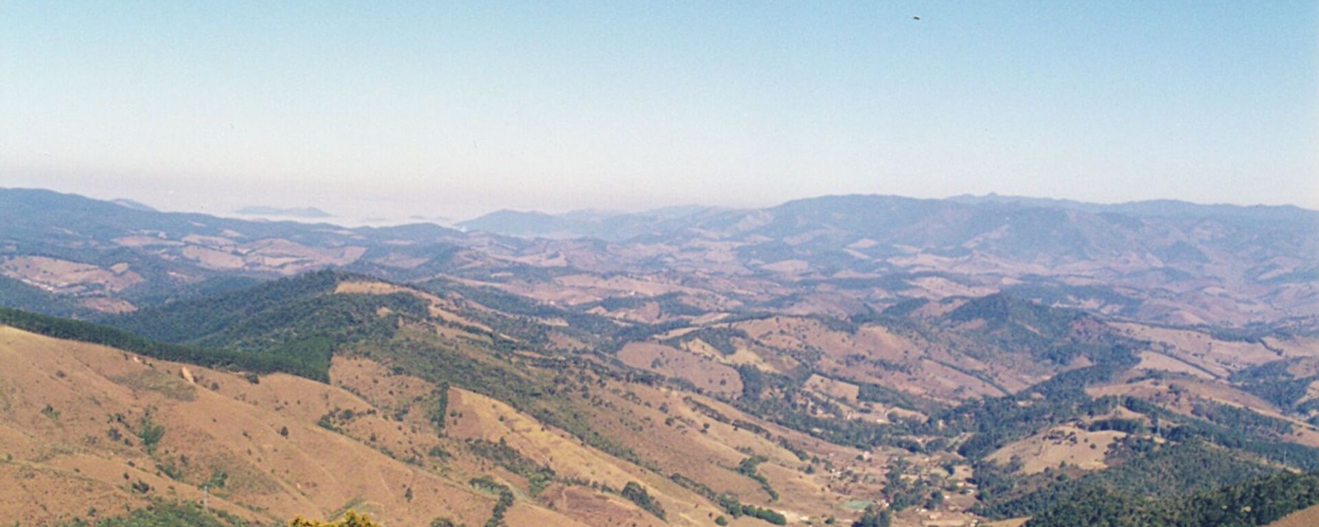 Vegetação de Mata Atlântica na Serra da Mantiqueira, em Campos do Jordão, no interior de São Paulo - Sputnik Brasil, 1920, 25.06.2024