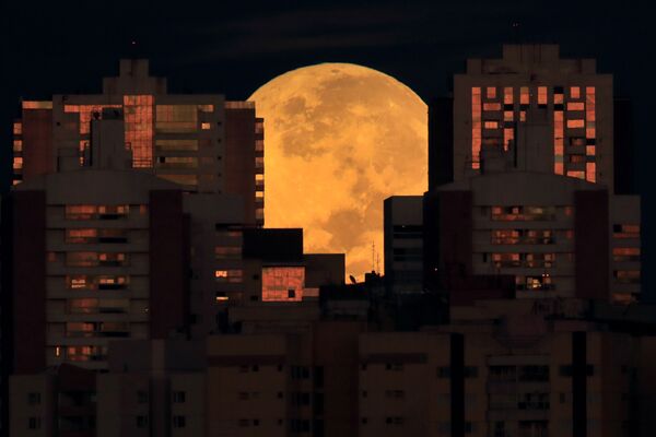 Lua sobre os edifícios no início do eclipse lunar em Brasília, Brasil, 26 de maio de 2021 - Sputnik Brasil