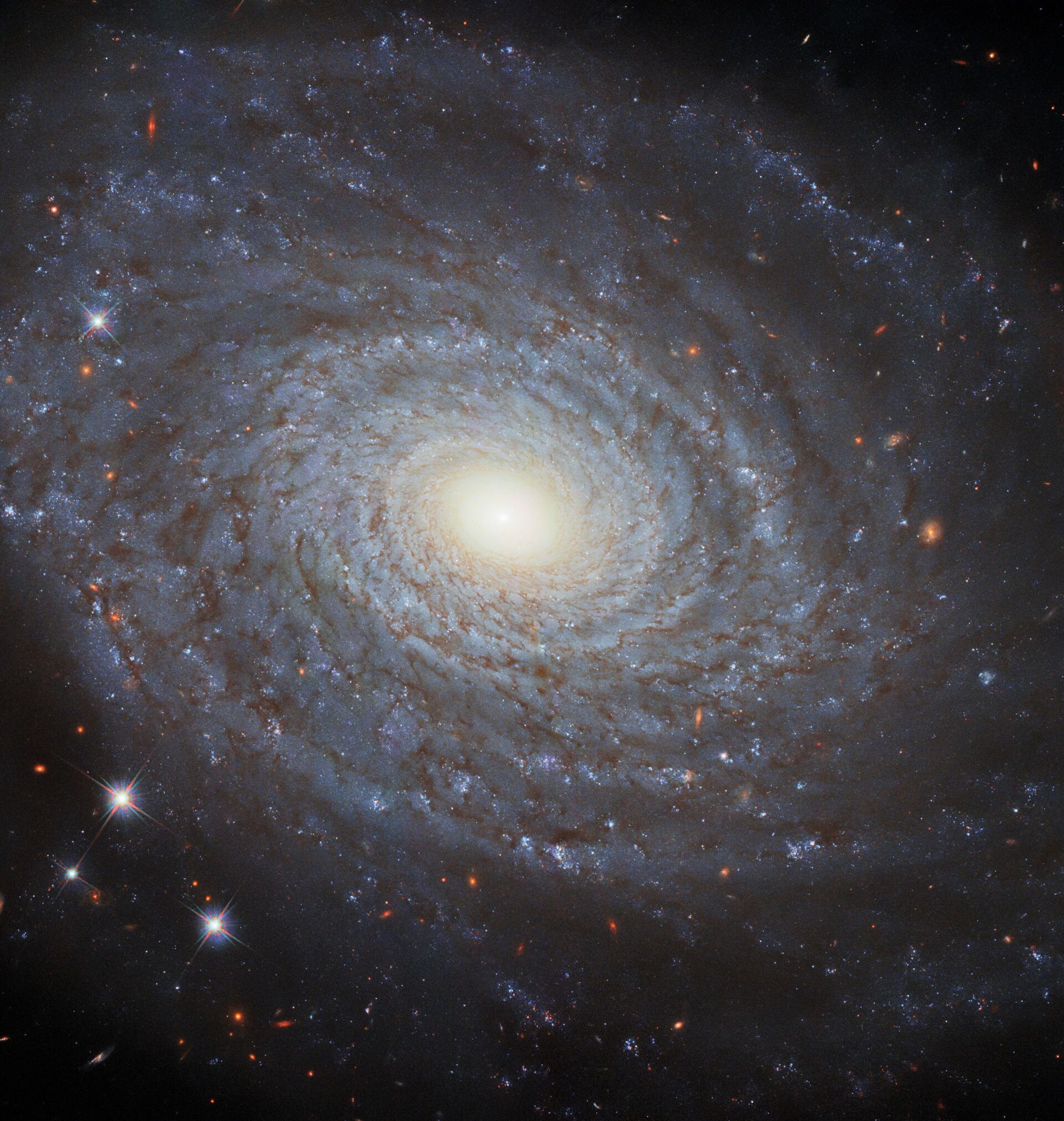 Hubble capta IMAGEM incrível de redemoinho galáctico no vasto Universo Hubble capta IMAGEM incrível de redemoinho galáctico no vasto Universo - Sputnik Brasil, 1920, 31.05.2021