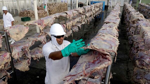 Trabalhadores na fábrica de carne bovina da JBS  - Sputnik Brasil