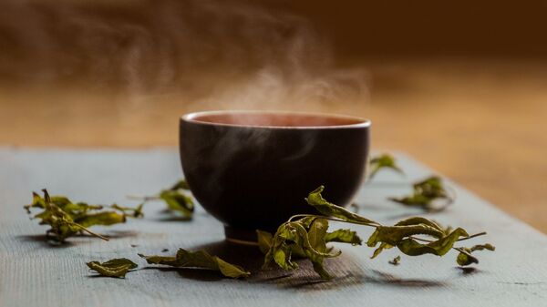 Xícara de chá verde (imagem referencial) - Sputnik Brasil