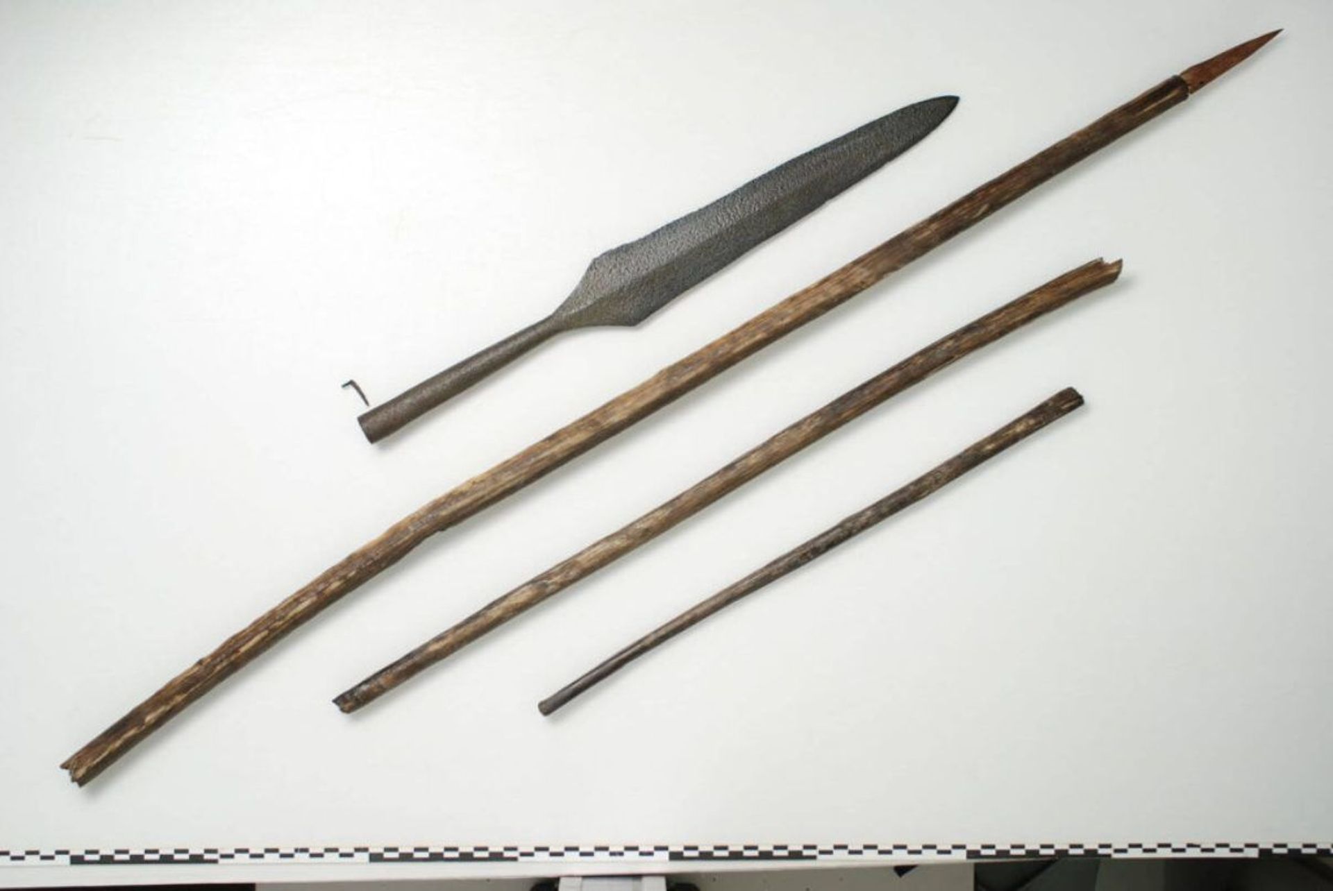 'Tesouro' de 500 anos é encontrado em caixa de madeira na Noruega (FOTOS) 'Tesouro' de 500 anos é encontrado em caixa de madeira na Noruega (FOTOS) - Sputnik Brasil, 1920, 09.06.2021