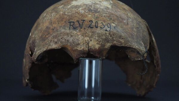 Crânio de caçador-coletor da Idade da Pedra de mais de cinco mil anos - Sputnik Brasil