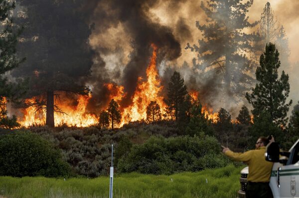Bombeiro monitora incêndio que alastra na Floresta Nacional de Plumas, Califórnia, EUA, 9 de julho de 2021 - Sputnik Brasil