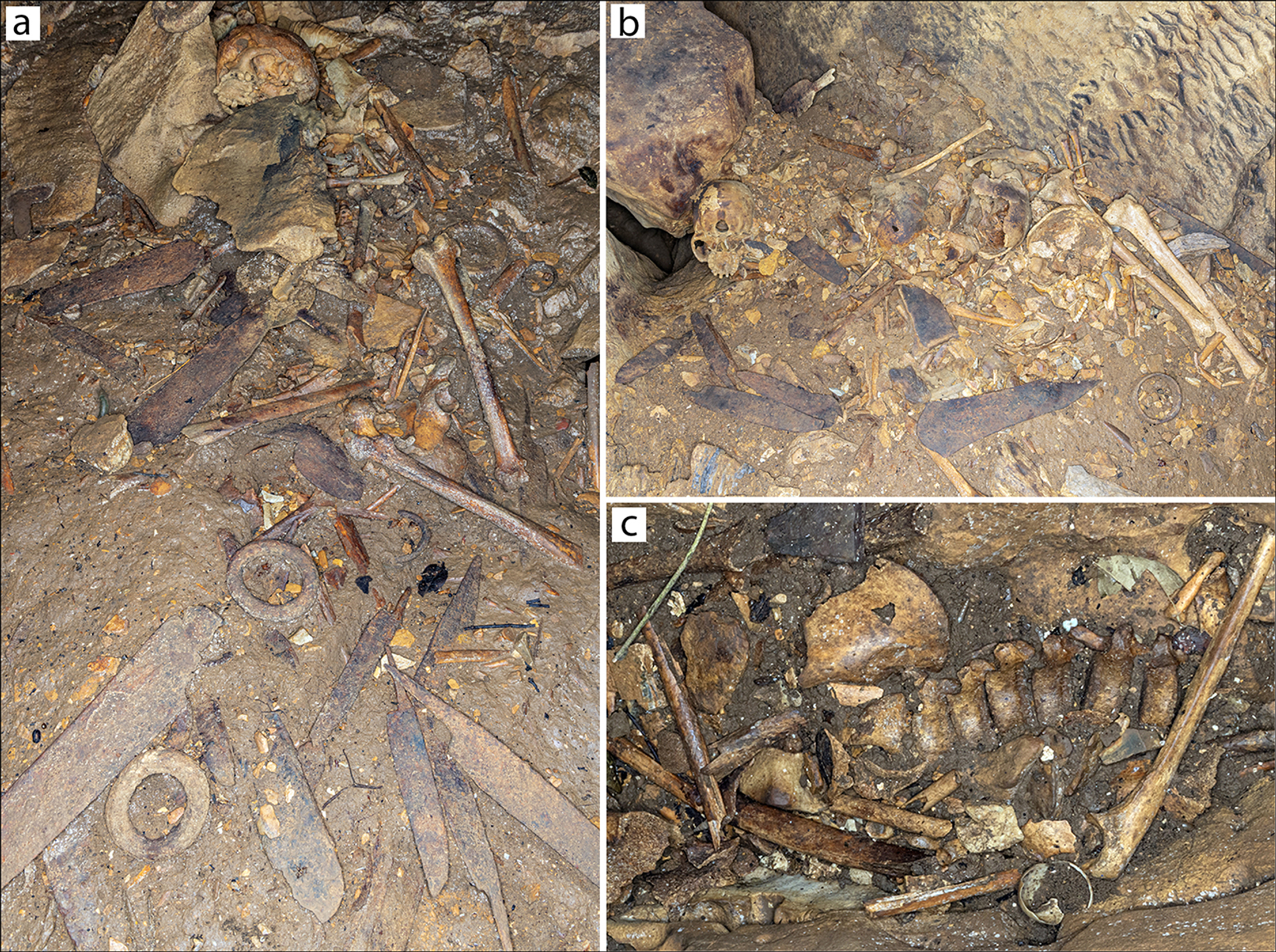 Crânios misteriosos de 500 anos com modificações faciais são descobertos em caverna no Gabão (FOTOS) - Sputnik Brasil, 1920, 11.07.2021