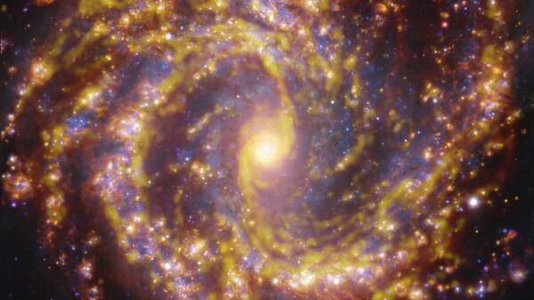 Galáxia NGC 4303 próxima à Via Láctea. NGC 4303 é uma galáxia espiral, com uma barra de estrelas e gás em seu centro, localizada a aproximadamente 55 milhões de anos-luz da Terra, na constelação Virgo. A imagem é uma combinação de observações realizadas em diferentes comprimentos de onda de luz para mapear populações estelares e gás. As observações do telescópio ALMA são representadas em tons marrom-alaranjados e destacam as nuvens de gás molecular frio que fornecem a matéria-prima a partir da qual as estrelas se formam. Os dados do espetrógrafo MUSE aparecem principalmente em dourado e azul. Os brilhantes dourados mapeiam nuvens quentes, principalmente de hidrogênio ionizado, oxigênio e gás sulfúrico, marcando a presença de estrelas recém-nascidas, enquanto as regiões azuis revelam a distribuição de estrelas ligeiramente mais velhas - Sputnik Brasil
