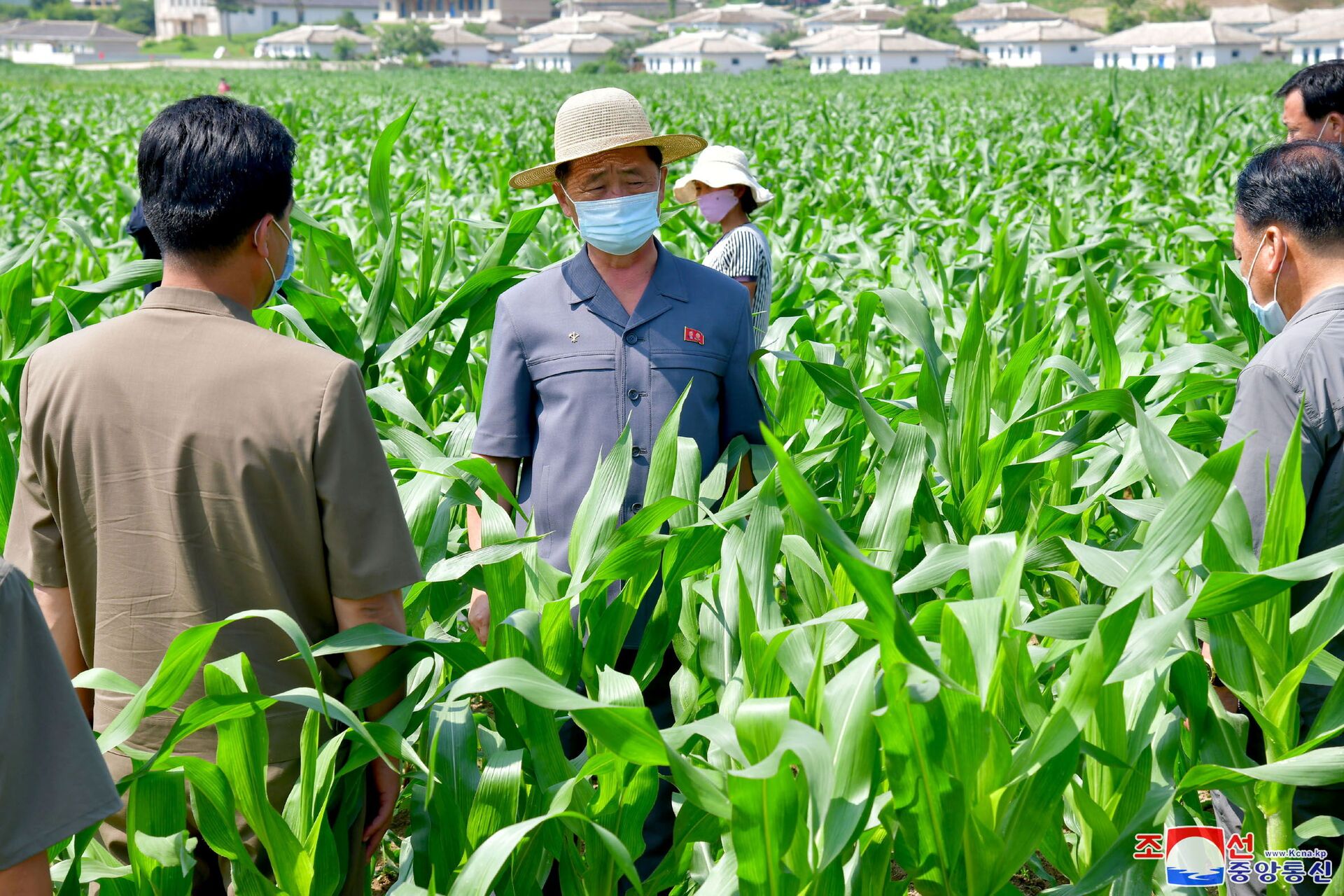 Coreia do Norte enfrenta seca severa, relata mídia local - Sputnik Brasil, 1920, 26.07.2021