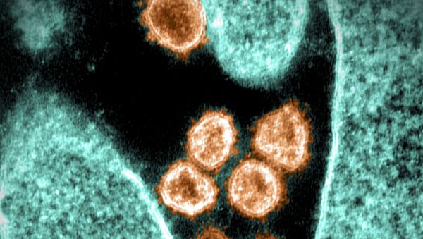 Detalhes do vírus SARS-CoV-2. Foto de arquivo - Sputnik Brasil