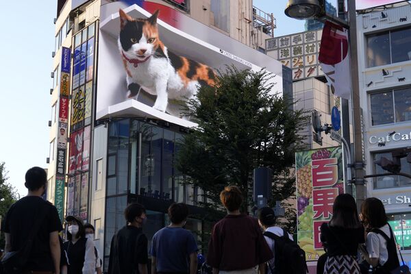 Pessoas assistem a um vídeo em 3D na zona comercial de Shinjuku, na capital japonesa, Tóquio, 1º de agosto de 2021 - Sputnik Brasil