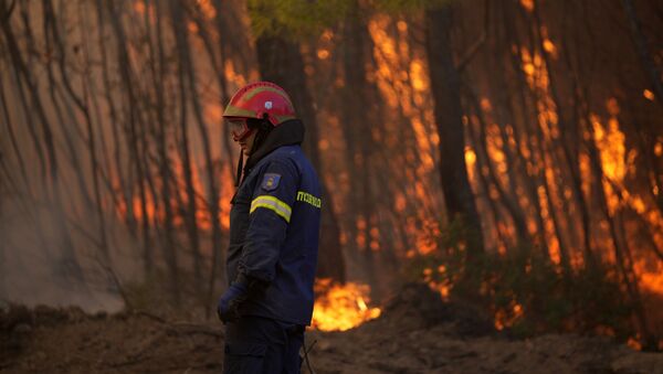 Bombeiro caminha por entre as chamas durante incêndio florestal na Grécia - Sputnik Brasil