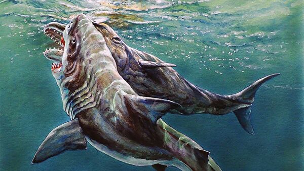 Representação artística do ataque de um tubarão gigante contra um cachalote - Sputnik Brasil