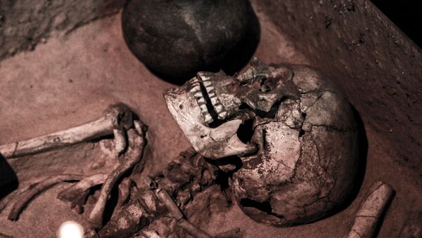 Crânio de humano antigo (imagem referencial) - Sputnik Brasil