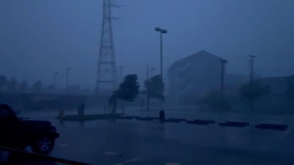 Imagem de vídeo mostra árvores inclinadas em meio a chuva pesada durante o furacão Ida, Louisiana, 29 de agosto de 2021 - Sputnik Brasil